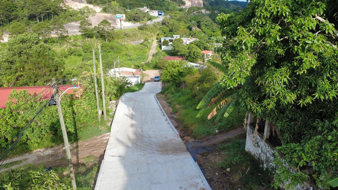Proyecto 10