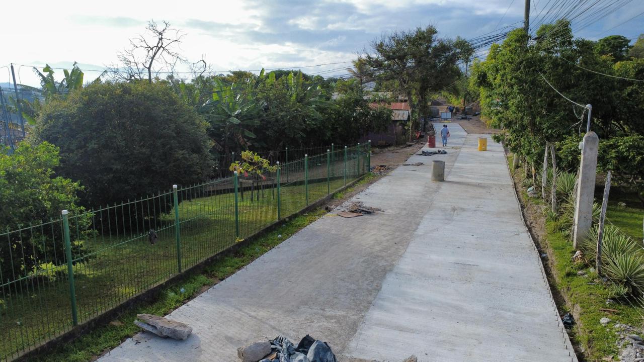 Proyecto 10