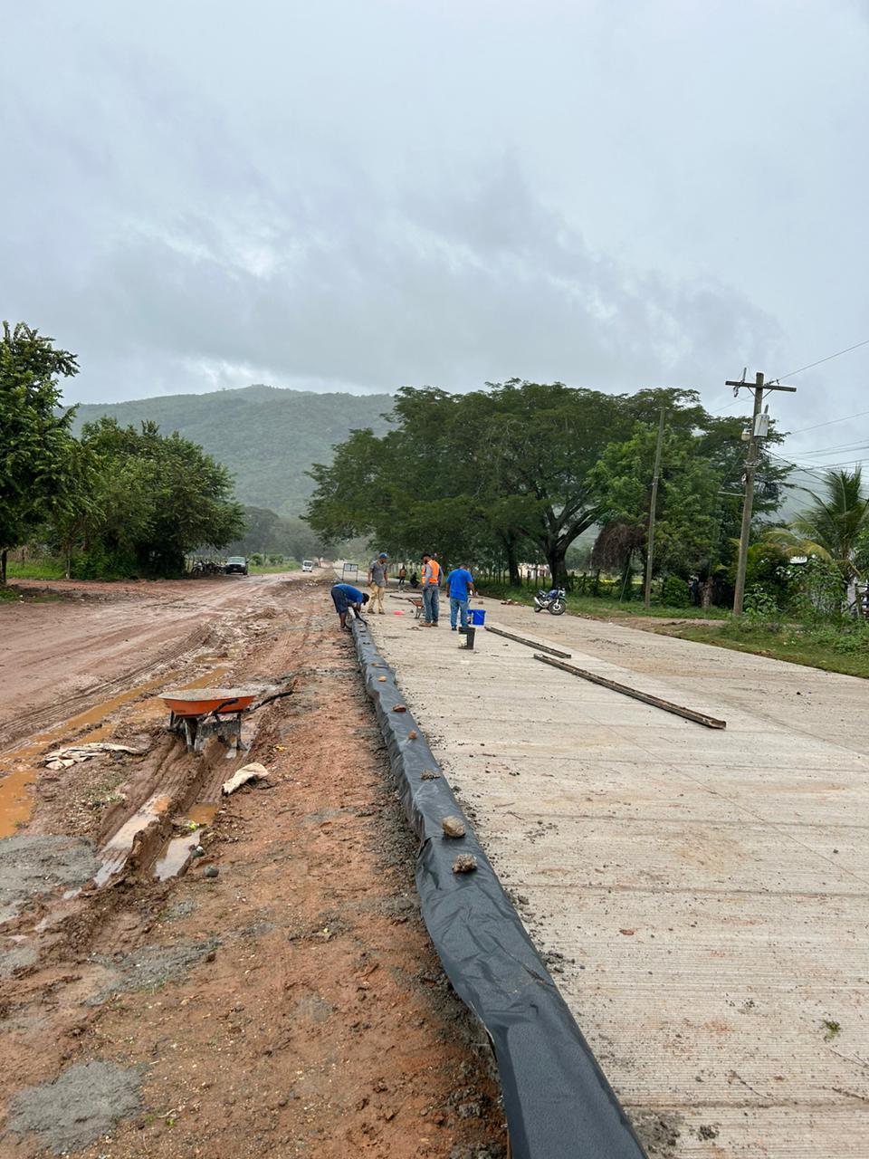Proyecto 4